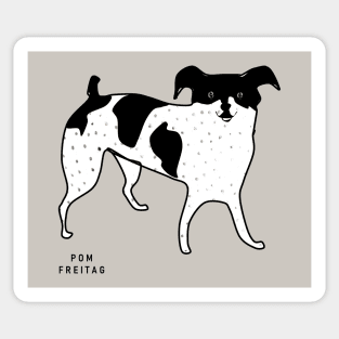 Rat terrier : Sticker